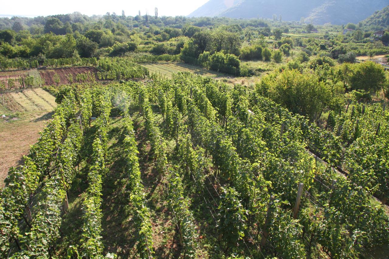 Vrzina Farm House Skadar Lake เวียร์ปาซาร์ ภายนอก รูปภาพ