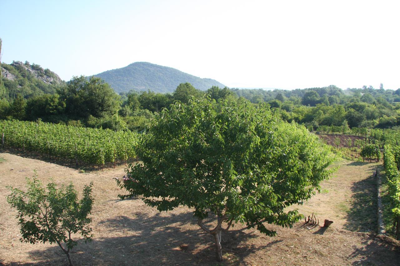 Vrzina Farm House Skadar Lake เวียร์ปาซาร์ ภายนอก รูปภาพ
