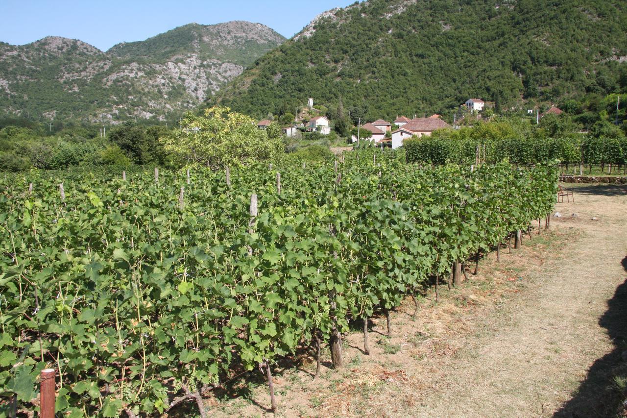 Vrzina Farm House Skadar Lake เวียร์ปาซาร์ ภายนอก รูปภาพ