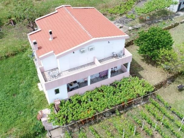 Vrzina Farm House Skadar Lake เวียร์ปาซาร์ ภายนอก รูปภาพ
