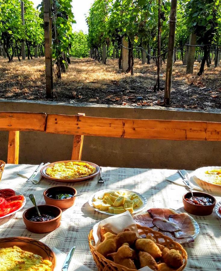 Vrzina Farm House Skadar Lake เวียร์ปาซาร์ ภายนอก รูปภาพ
